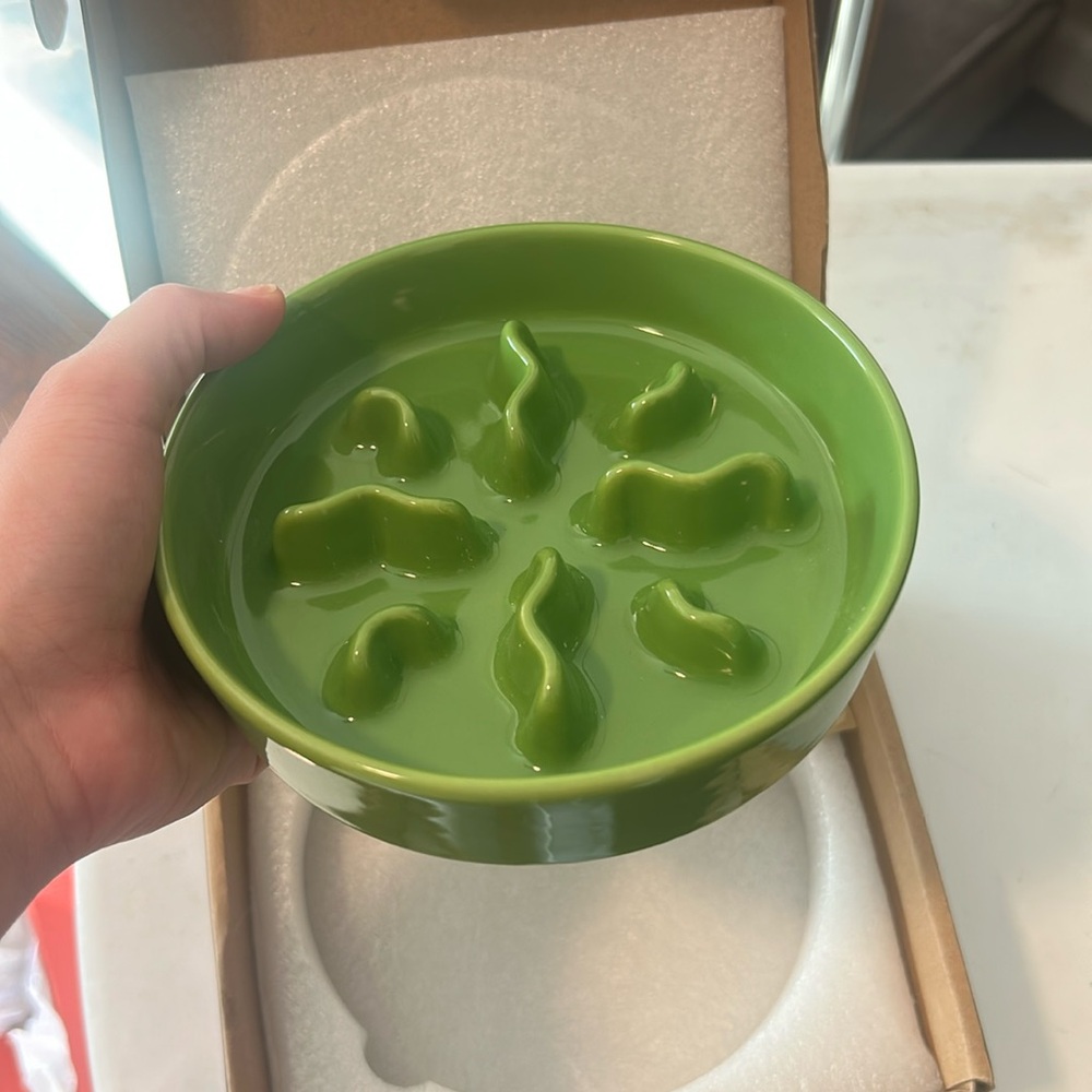 Ceramic slow feeder dog or cat bowl